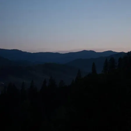 Woodvel * Verkhovyna