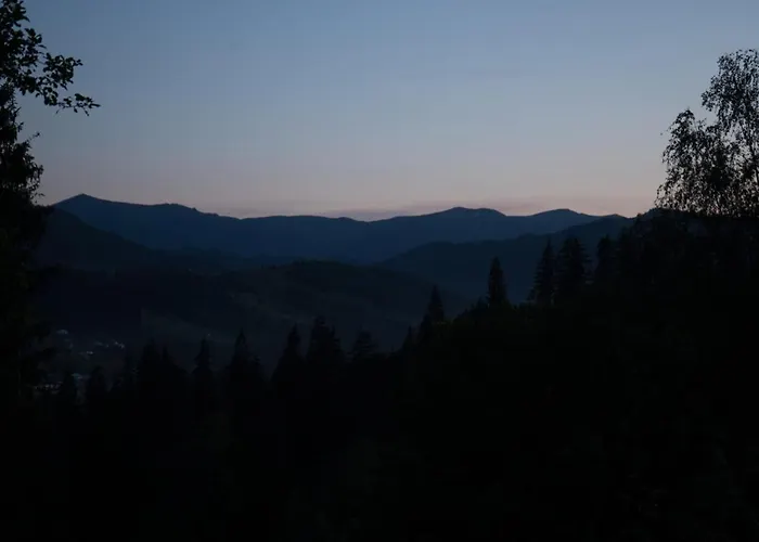 Woodvel * 韦尔霍维纳
