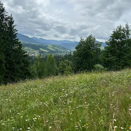 Woodvel * Verkhovyna
